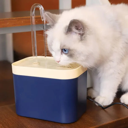 Cat Water Fountain